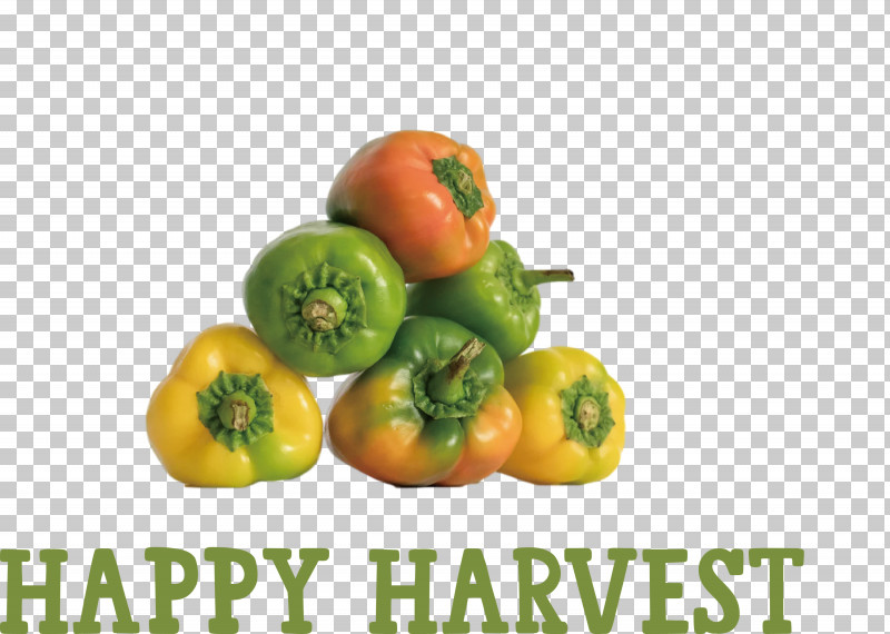 Happy Harvest Harvest Time PNG, Clipart, Bell Pepper, Bush Tomato, Chili Pepper, Cooking, Eating Free PNG Download