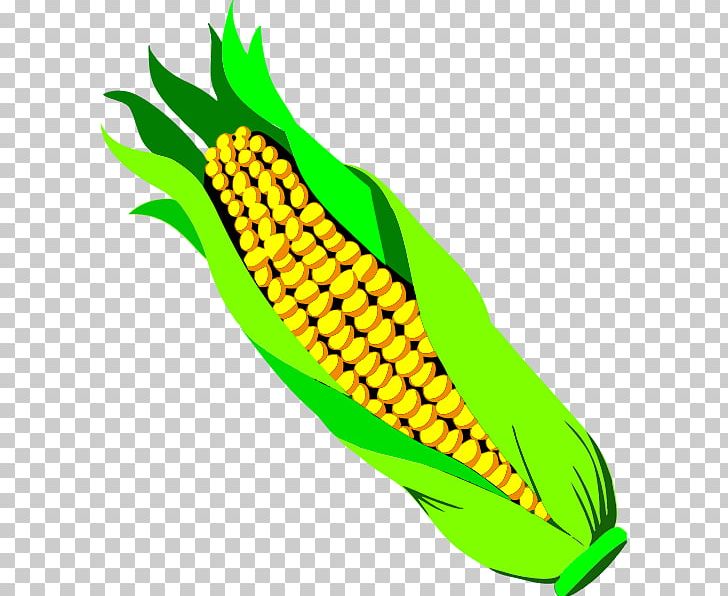 Candy Corn Vegetable Maize PNG, Clipart, Artwork, Candy Corn, Commodity, Computer Icons, Corn On The Cob Free PNG Download