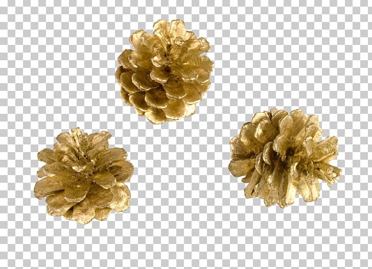 Christmas Conifer Cone PNG, Clipart, Body Jewelry, Brass, Christmas, Christmas Ornament, Conifer Cone Free PNG Download