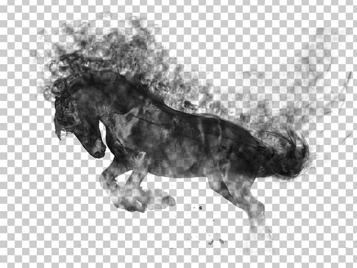 Horse Gait Dog Breed PNG, Clipart, Animals, Black, Black And White, Carnivoran, Dog Like Mammal Free PNG Download
