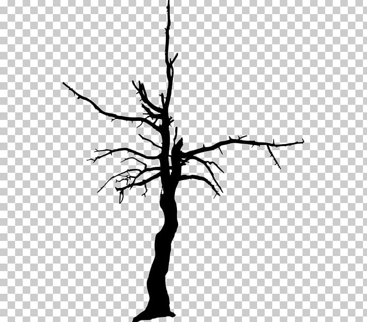 Twig PNG, Clipart, 3d Computer Graphics, Artwork, Black And White, Branch, Computer Graphics Free PNG Download