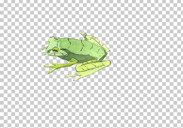 Watercolor Painting Illustration PNG, Clipart, Amphibian, Animals, Cartoon, Crayon, Cute Frog Free PNG Download
