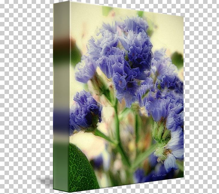 English Lavender Floral Design Cut Flowers Bluebonnet PNG, Clipart, Art, Blue, Bluebonnet, Cut Flowers, English Lavender Free PNG Download