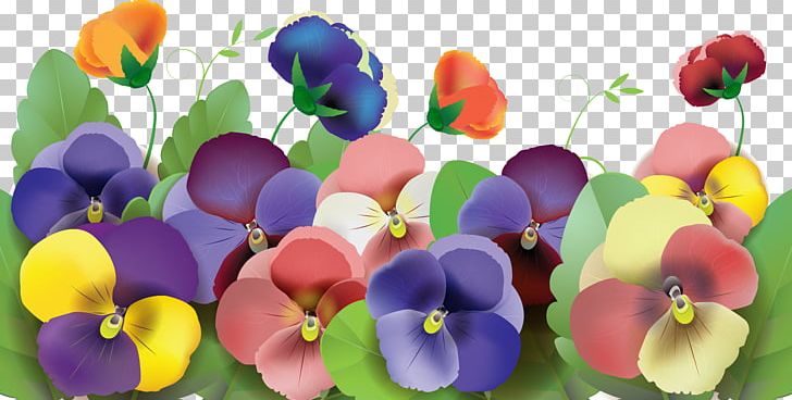 Pansy PNG, Clipart, Annual Plant, Art, Blume, Cicek Resimleri, Encapsulated Postscript Free PNG Download