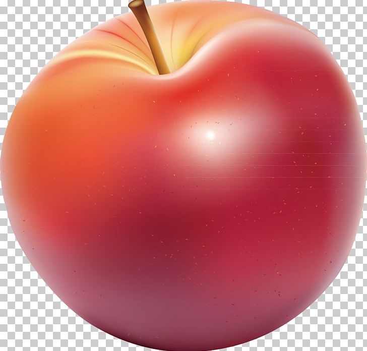 Paper Apple Euclidean Auglis PNG, Clipart, Apple Fruit, Apple Logo, Apple Vector, Auglis, Diet Food Free PNG Download