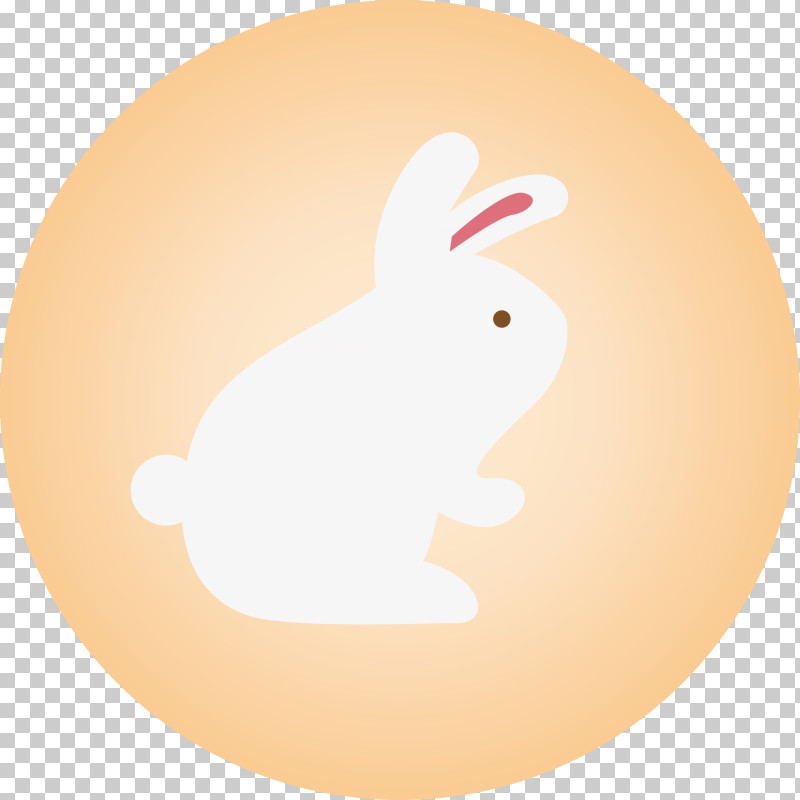 Rabbit PNG, Clipart, Biology, Computer, Easter Bunny, Egg, Orange Free PNG Download