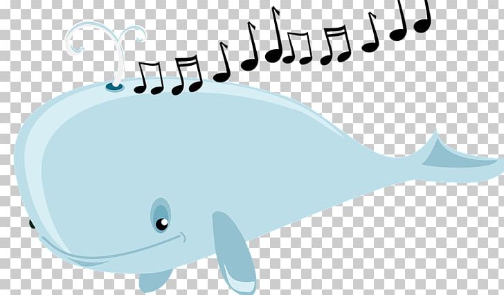Cetaceans Drawing Humpback Whale PNG, Clipart, Beluga Whale, Blue, Blue Whale, Cartoon, Cetaceans Free PNG Download