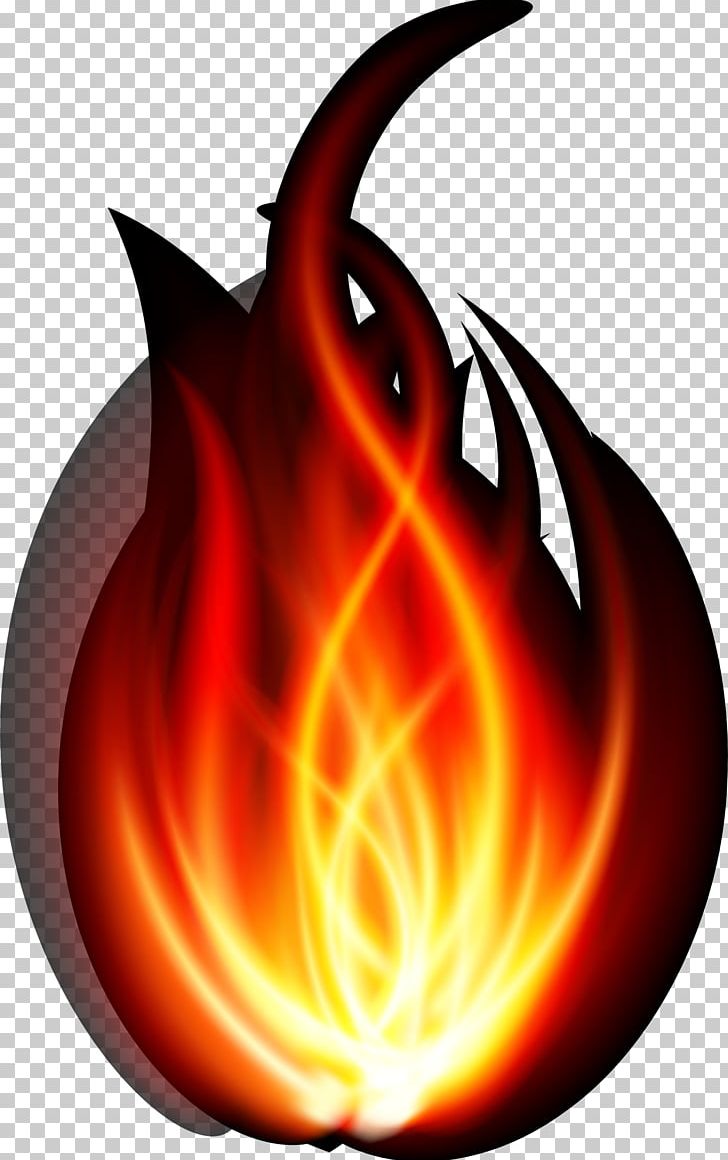 Flame Combustion PNG, Clipart, Adobe Illustrator, Burn, Burning, Computer, Computer Wallpaper Free PNG Download
