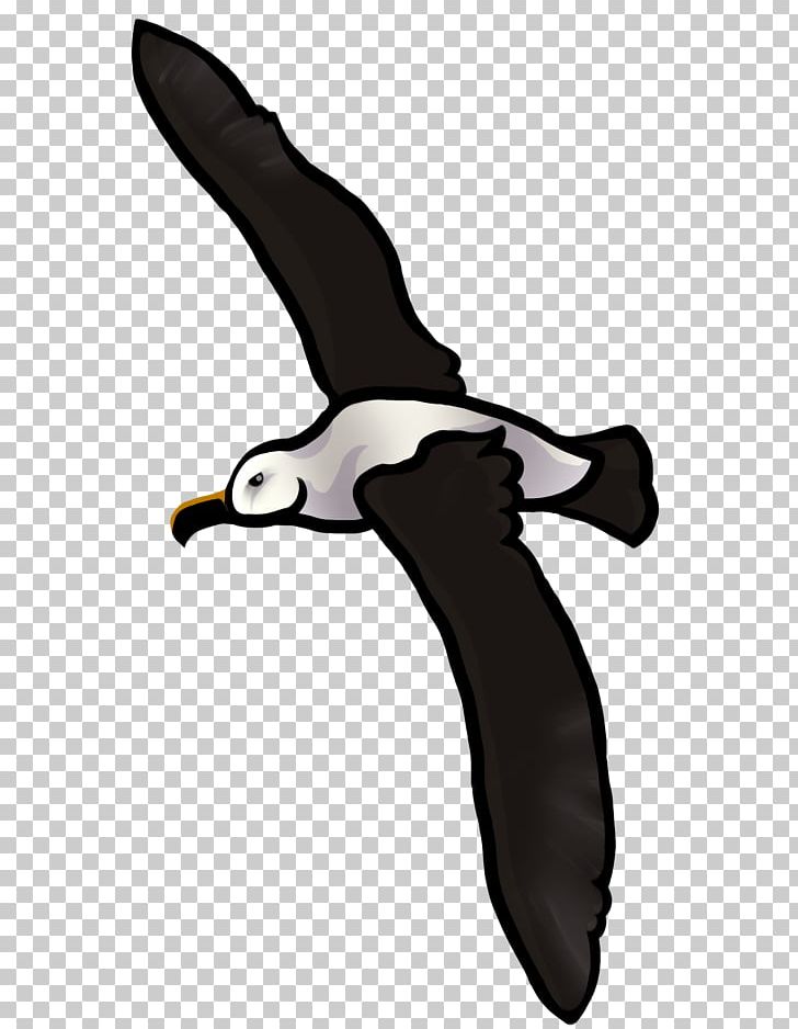 Flightless Bird Beak Wing PNG, Clipart, Albatross, Animal, Animals, Beak, Bird Free PNG Download