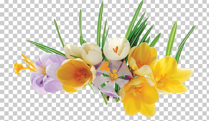Floral Design Cut Flowers Crocus Flower Bouquet PNG, Clipart, Crocus, Cut Flowers, Diaporama, Floral Design, Floristry Free PNG Download
