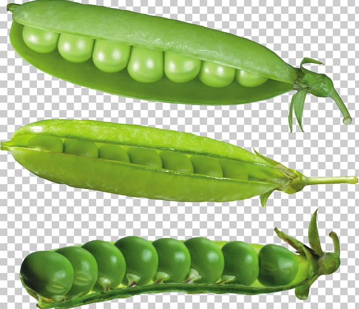 Snow Pea Common Bean Legume PNG, Clipart, Common Bean, Computer Icons, Food, Free, Fruit Free PNG Download
