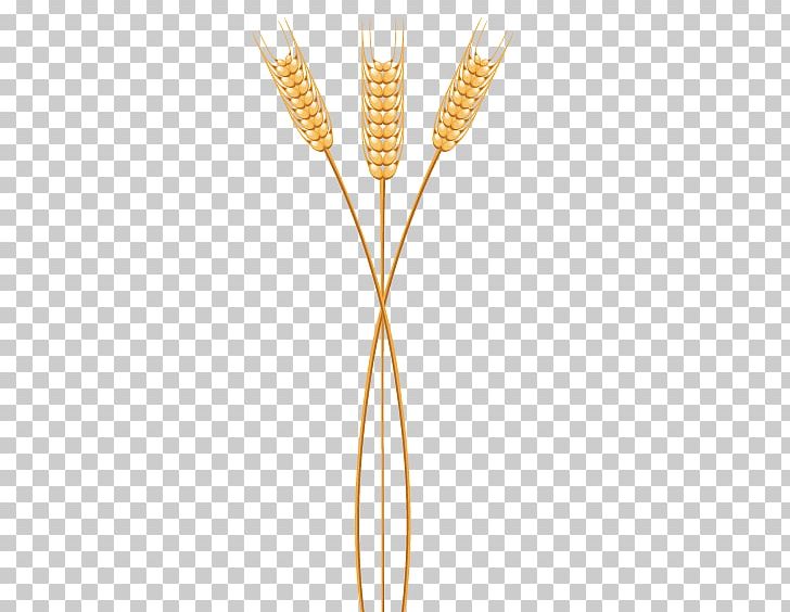Grasses Commodity Family PNG, Clipart, Cartoon Wheat, Commodity, Family, Grasses, Grass Family Free PNG Download