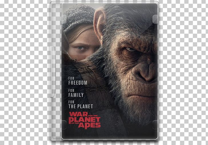 Planet Of The Apes Film Director 20th Century Fox PNG, Clipart, 20th Century Fox, Ape, Common Chimpanzee, Dawn Of The Planet Of The Apes, Facial Hair Free PNG Download