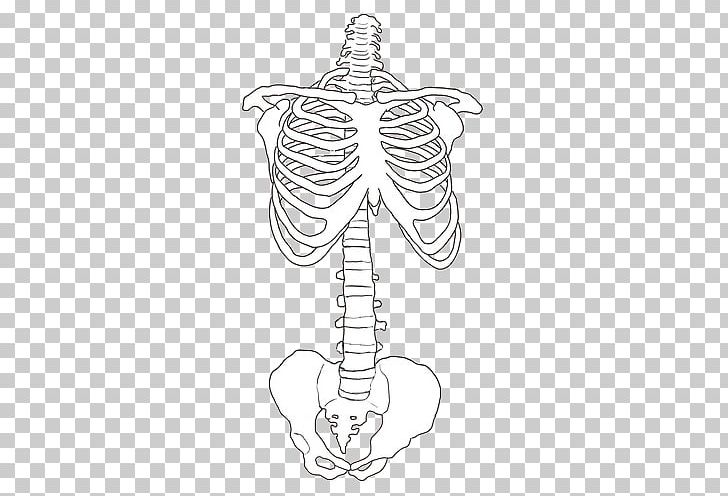 Poetry Human Skeleton Drawing Bone PNG, Clipart, Anatomy, Arm, Art, Black And White, Bone Free PNG Download