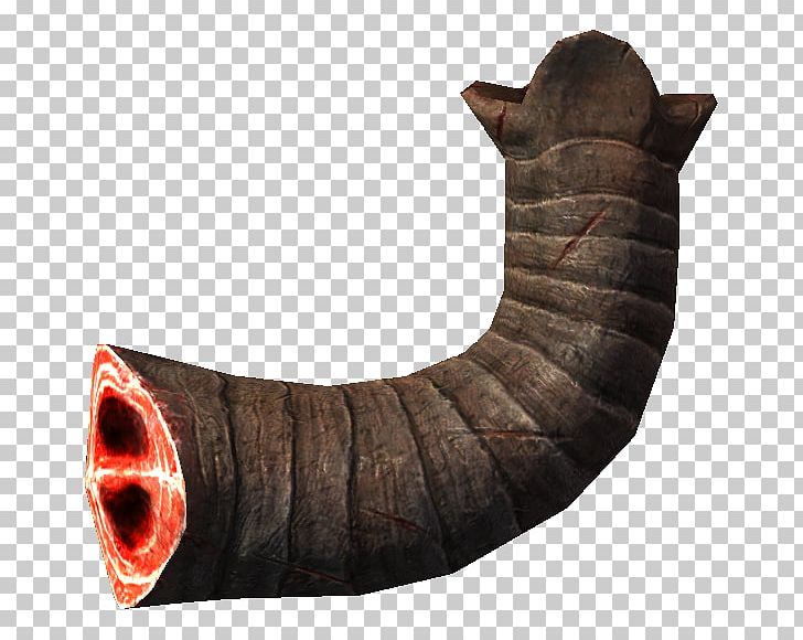 The Elder Scrolls V: Skyrim Raw Foodism Meat Health PNG, Clipart,  Free PNG Download