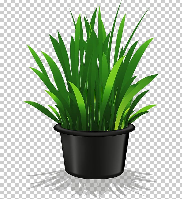 Houseplant Flowerpot PNG, Clipart, Art, Background Green, Black, Bonsai, Clip Art Free PNG Download
