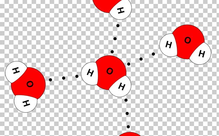 Hydrogen Bond Chemical Bond Chemical Polarity Water Hydrogen Atom PNG, Clipart, Area, Atom, Biology, Cartoon, Chemical Bond Free PNG Download