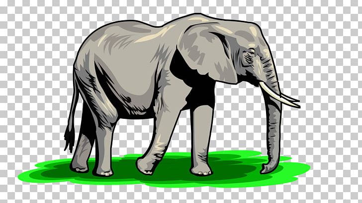 African Elephant PNG, Clipart, African Elephant, Animals, Cattle Like Mammal, Drawing, Elephant Free PNG Download