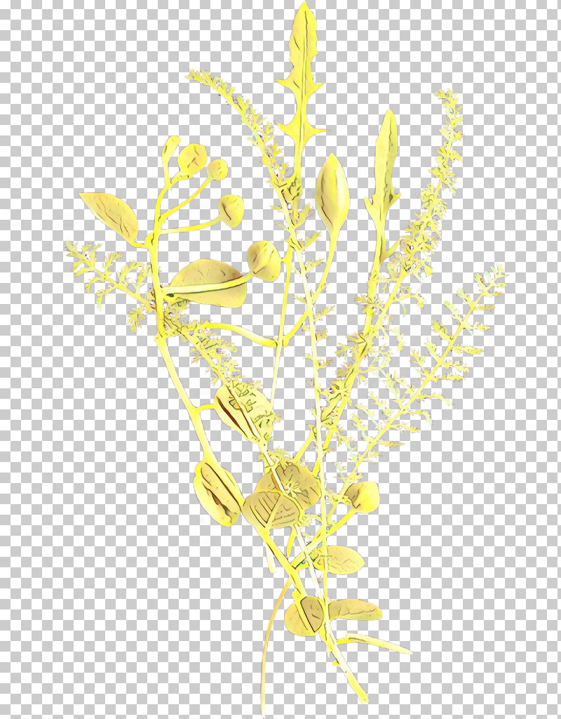 Yellow Plant Flower Plant Stem PNG, Clipart, Flower, Plant, Plant Stem, Yellow Free PNG Download