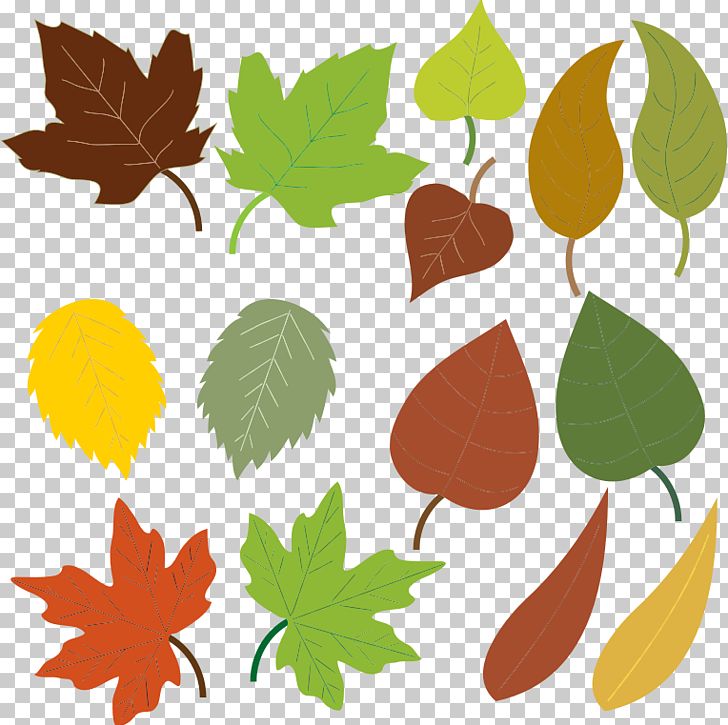 Autumn Leaf Color PNG, Clipart, Autumn, Autumn Leaf Color, Blog, Branch, Clipart Free PNG Download