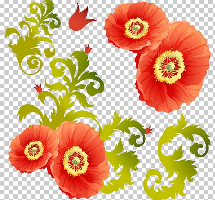Common Poppy Cut Flowers PNG, Clipart, Annual Plant, Blue Rose, Common Poppy, Cut Flowers, Daisy Family Free PNG Download