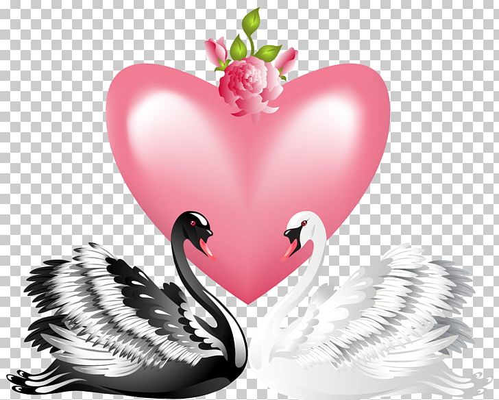Swan Valentine's Day Heart PNG, Clipart, Black Swan, Clipart, Cygnini, Drawing, Encapsulated Postscript Free PNG Download
