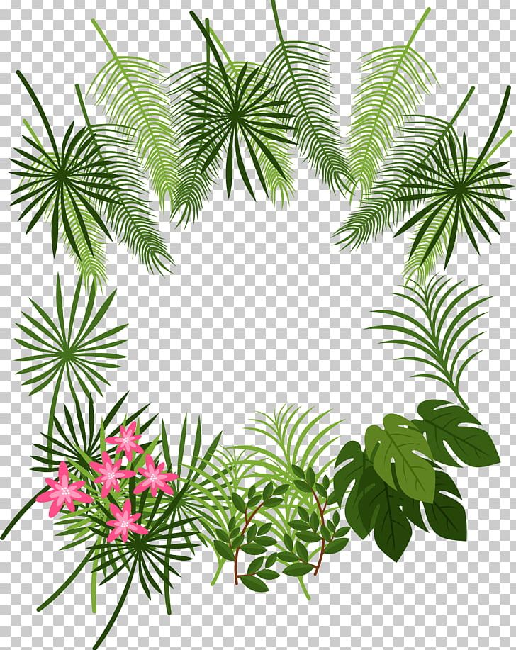 Arecaceae Leaf Tropics Plant PNG, Clipart, Border, Branch, Christmas Decoration, Circle, Computer Icons Free PNG Download