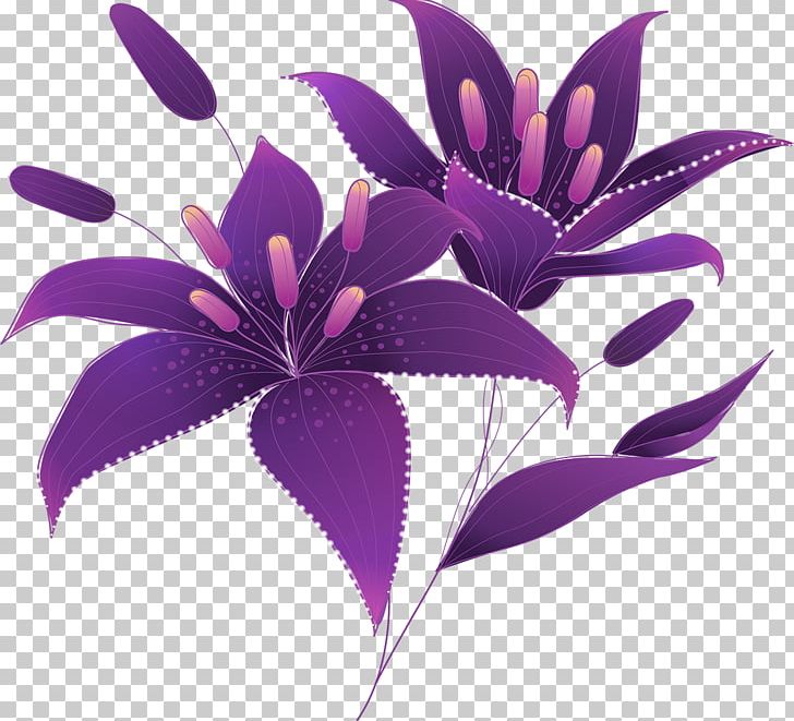 Arum-lily Purple Drawing Lilium PNG, Clipart, Art, Arumlily, Arum Lily, Callalily, Calla Lily Free PNG Download