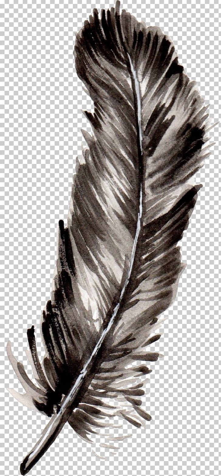 Feather Bird Watercolor Painting PNG, Clipart, Animals, Bird, Black And White, Color, Feather Free PNG Download