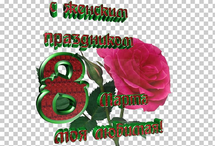 Garden Roses Odnoklassniki Text Holiday 8 March PNG, Clipart,  Free PNG Download