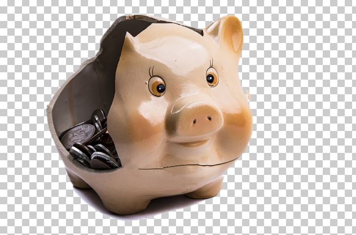 Piggy Bank Domestic Pig Saving Investment PNG, Clipart, Accountant, Bank, Banking, Banks, Ceramic Free PNG Download