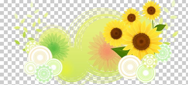 Common Sunflower PNG, Clipart, Abstract, Abstract Vector, Abstract Vector Background, Common Sunflower, Computer Wallpaper Free PNG Download
