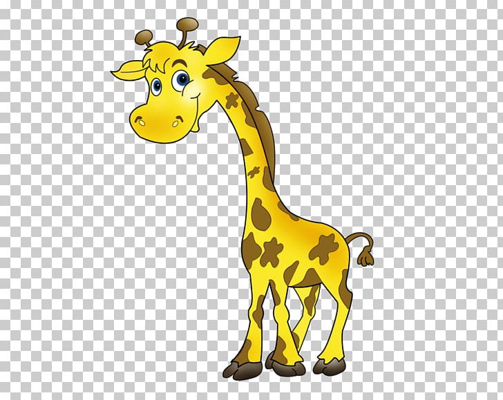 Giraffe Neonate Ansichtkaart Instagram PNG, Clipart, Animal Figure, Animals, Ansichtkaart, Fauna, Giraffe Free PNG Download