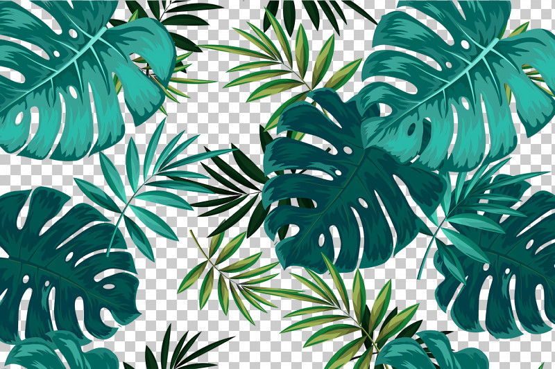Palm Trees PNG, Clipart, Arecales, Biology, Flower, Leaf, Palm Trees Free PNG Download