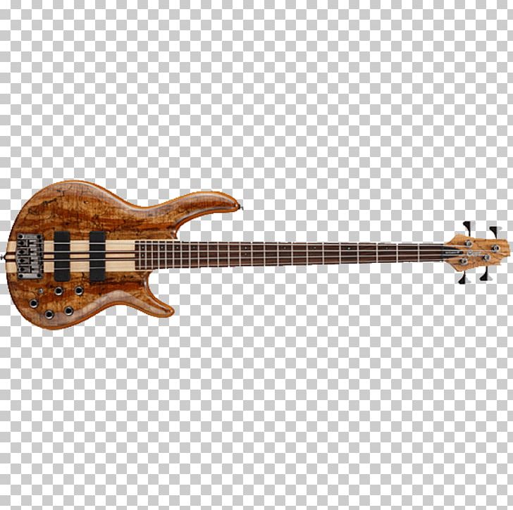 Bass Guitar Acoustic Guitar Acoustic-electric Guitar Cuatro Cort Guitars PNG, Clipart, Acoustic Electric Guitar, Acoustic Guitar, Cuatro, Guitar Accessory, Nat Free PNG Download