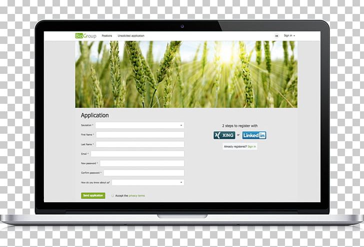 Multimedia Brand Grasses PNG, Clipart, Brand, Computer Monitor, Computer Monitors, Grass, Grasses Free PNG Download