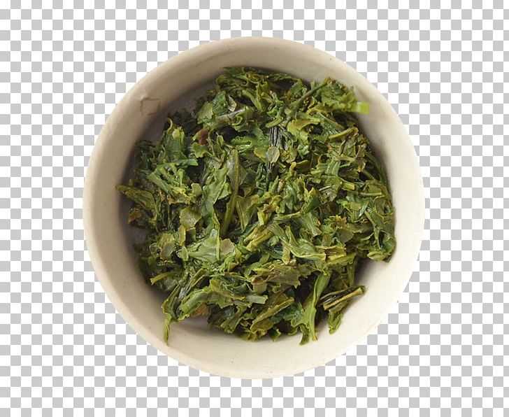 Sencha Nilgiri Tea Green Tea Gyokuro PNG, Clipart, Antioxidant, Aonori, Bancha, Biluochun, Darjeeling Tea Free PNG Download
