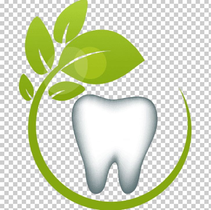 Tooth Holistic Dentistry Oral Hygiene Health PNG, Clipart, Acupuncture, Dental Public Health, Dentistry, Flower, Fruit Free PNG Download
