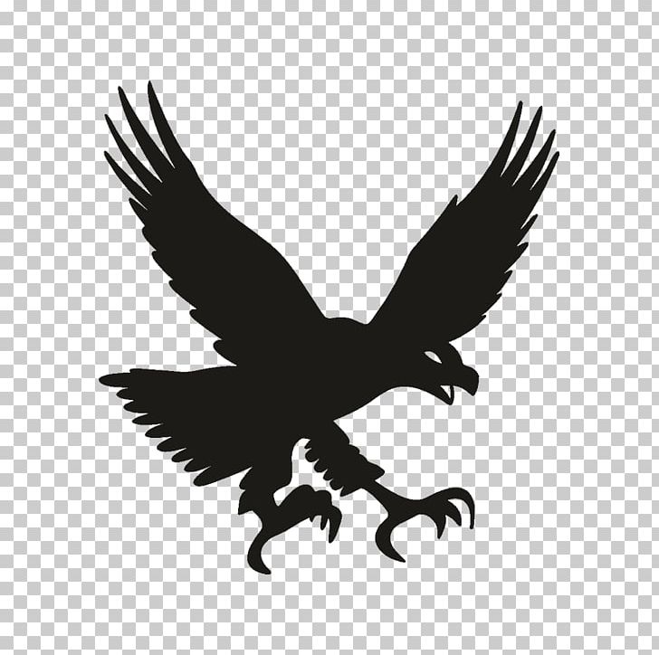 Eagle Bird Sticker