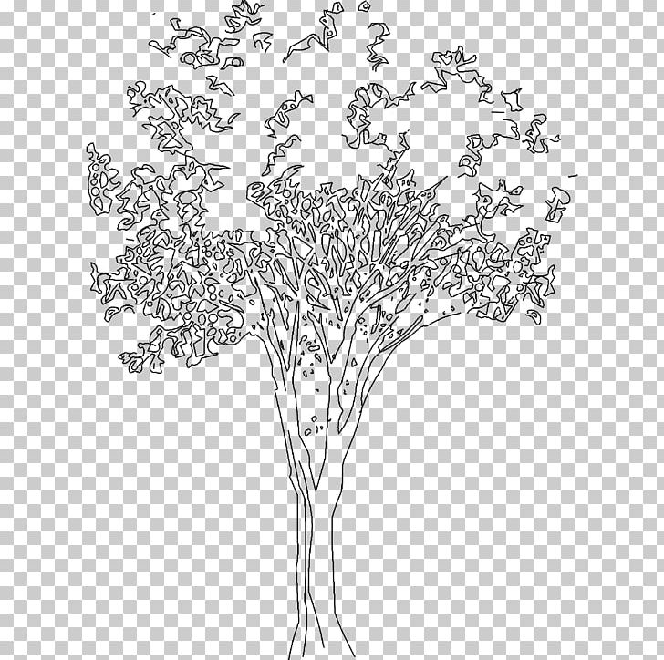 Some Drawing of tree in architecture  Architect  sketch  Facebook