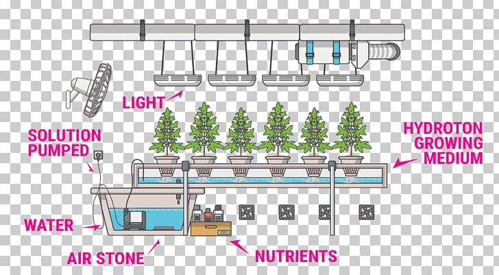 Nutrient Hydroponics Cannabis Cultivation Hidrokültür PNG, Clipart, Agriculture, Angle, Basement, Brand, Cannabis Free PNG Download