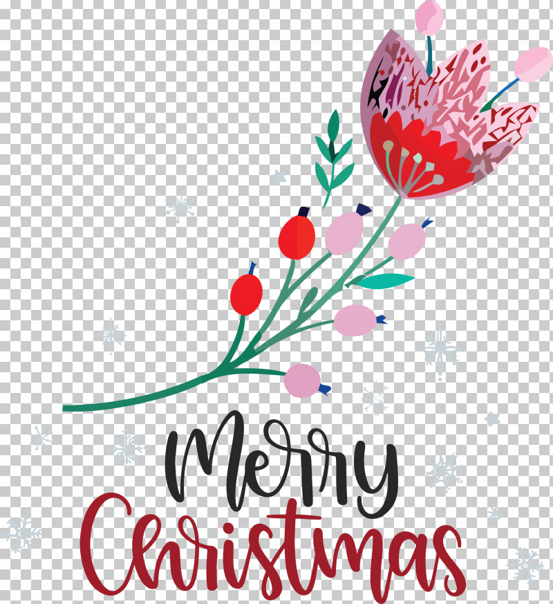 Merry Christmas PNG, Clipart, Biology, Branching, Flora, Floral Design, Flower Free PNG Download