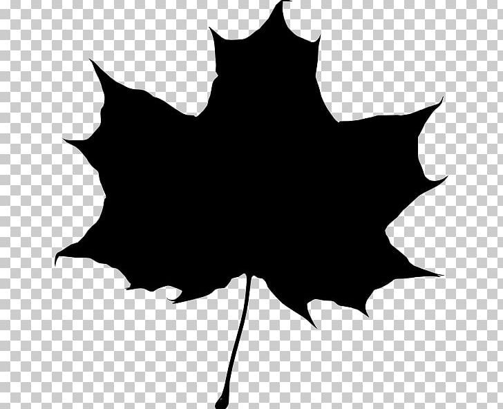 Drawing Silhouette Leaf PNG, Clipart, Animals, Art, Black, Black And White, Branch Free PNG Download