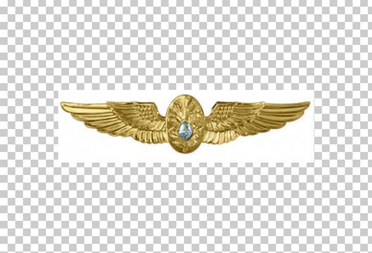 National Naval Aviation Museum Flight Surgeon Badge United States Navy PNG, Clipart, Brass, Flight Surgeon, Jewellery, Medical Corps, Medicine Free PNG Download