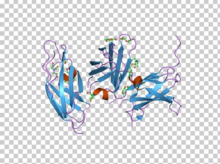 Neural Cell Adhesion Molecule Neuron Glycoprotein PNG, Clipart, Cell Adhesion, Cell Adhesion Molecule, Computer Wallpaper, Fibronectin, Fibronectin Type Iii Domain Free PNG Download