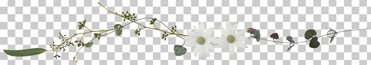 Grasses Line Art White Plant Stem Font PNG, Clipart, Atelier Delaruelle, Black And White, Branch, Flora, Flower Free PNG Download