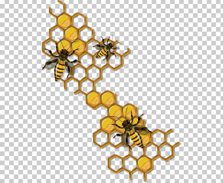 Honey Bee Drawing Honeycomb Insect PNG, Clipart, Bee, Beehive, Beekeeping, Body Jewelry, Branch Free PNG Download
