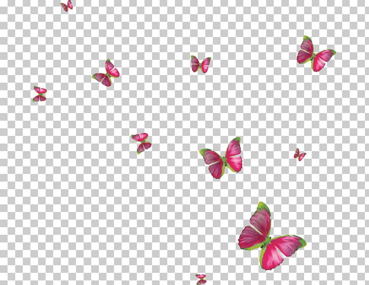 Monarch Butterfly Insect Butterfly Gardening PNG, Clipart, Arthropod, Butterfly, Butterfly Gardening, Computer Wallpaper, Desktop Wallpaper Free PNG Download