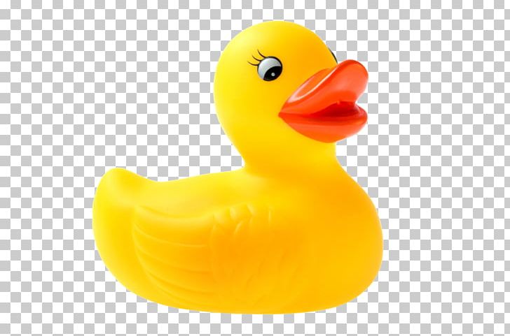 Rubber Duck Stock Photography Sticker Desktop PNG, Clipart, Animals, Bathroom, Beak, Bird, Desktop Wallpaper Free PNG Download