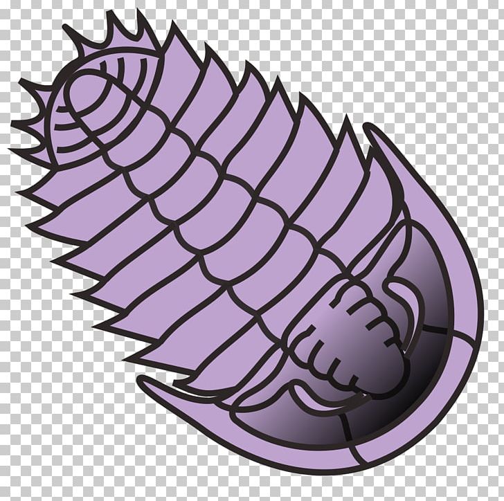 Trilobite PNG, Clipart, Banco De Imagens, Belarusian Wikipedia, Computer Icons, Desktop Wallpaper, Drawing Free PNG Download